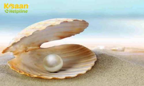 मोती पालन की कला सिखकर कर सकते है अच्छी कमाई